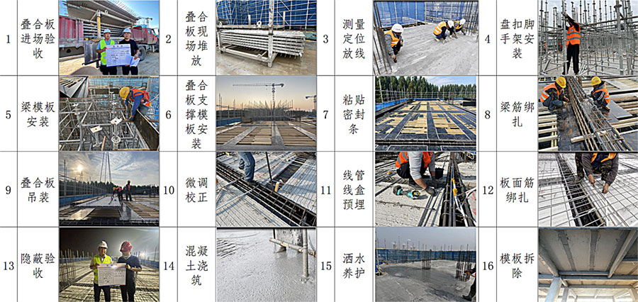 10图片10