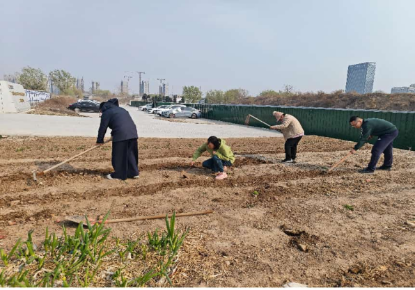 方寸荒地变“幸福菜园” 城建建筑公司丁太鲁A-11项目部组织职工开展菜园种植活动