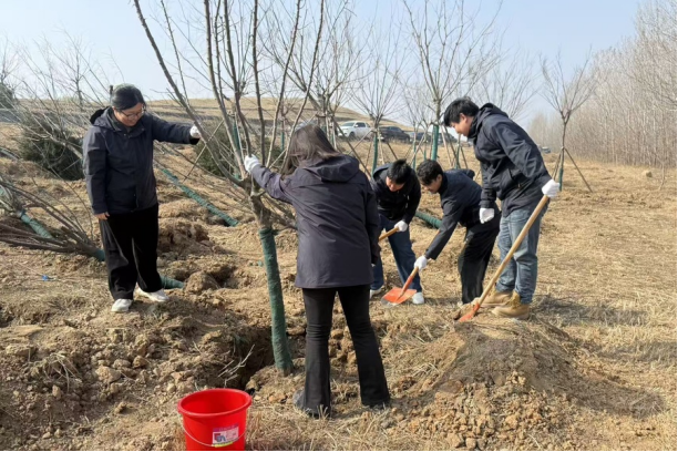 春风拂黄岸 绿动起步区 城建建筑公司起步区项目联合开展春季植树活动